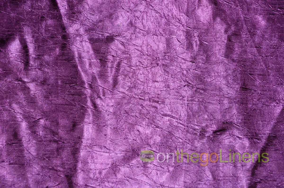 Crush Bichon Plum