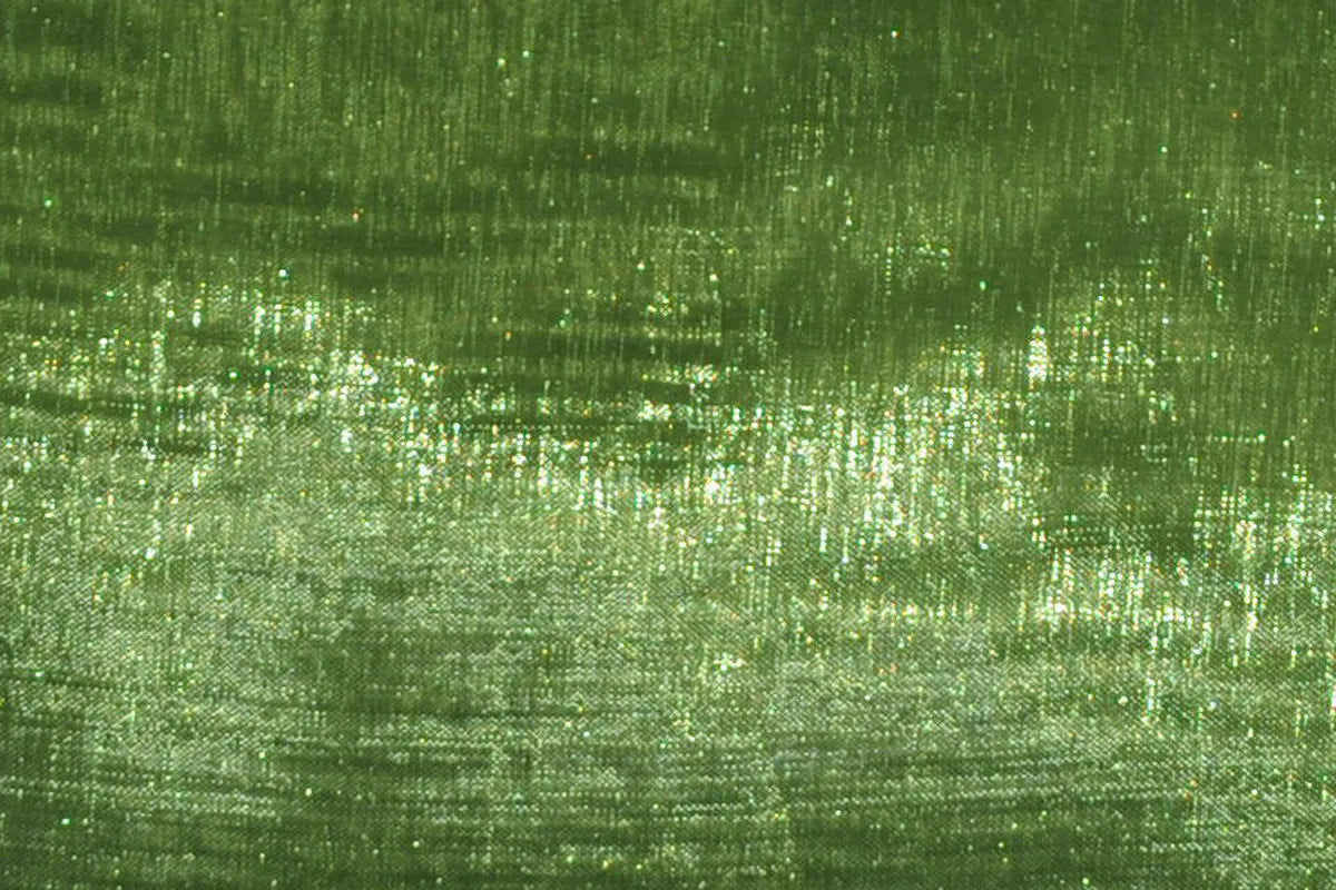 Dark Lime Mirror Organza
