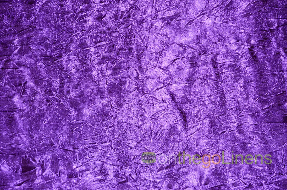 Crush Bichon Purple