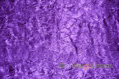 Crush Bichon Purple