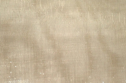 Champagne Mirror Organza