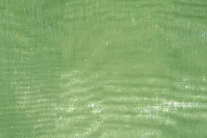 Mirror Organza Fabrics
