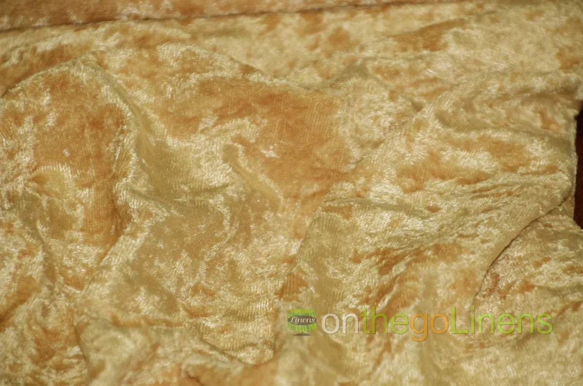 Panne Velvet Gold