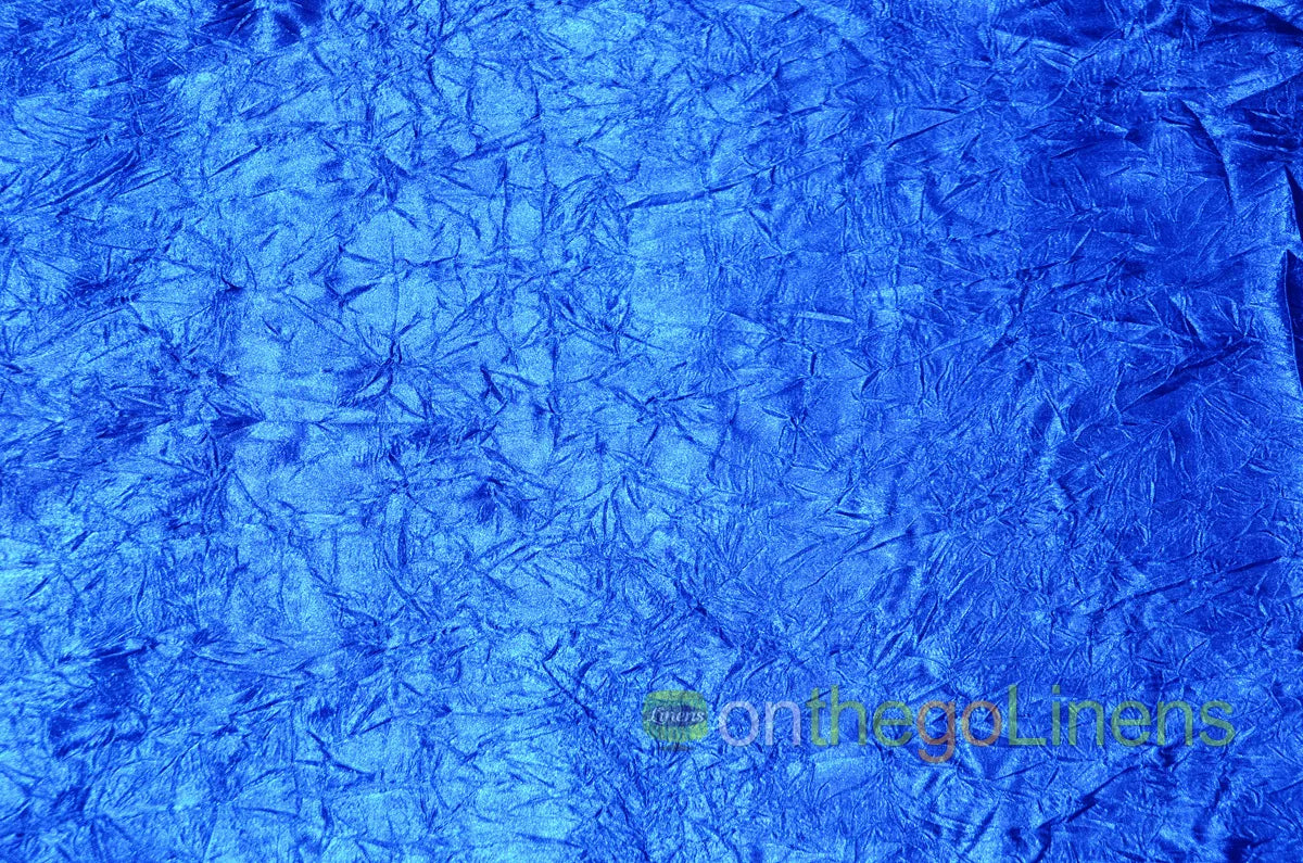 Crush Bichon Royal Blue