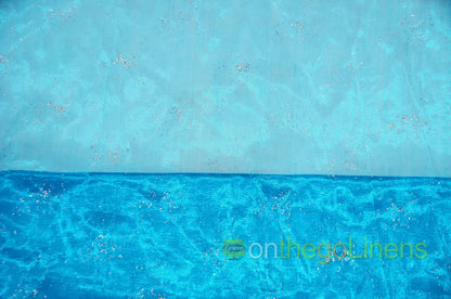 Turquoise Sparkle Organza