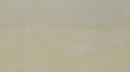 Royal Velvet Ivory