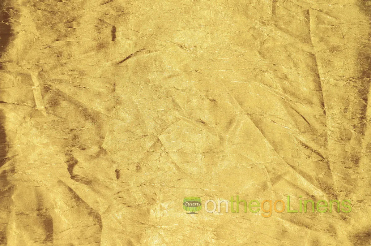 Crush Bichon Dark Gold