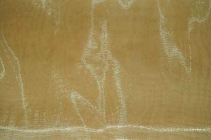 Light Gold Mirror Organza