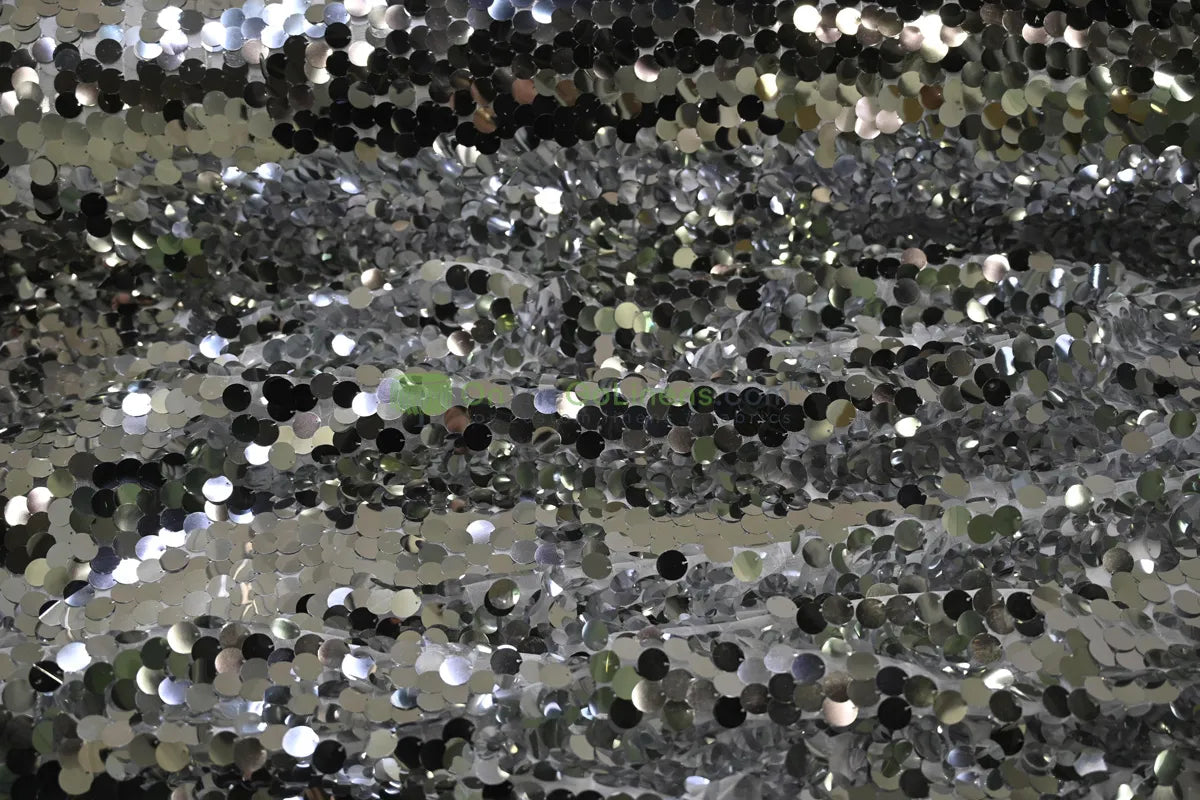 Silver Payette