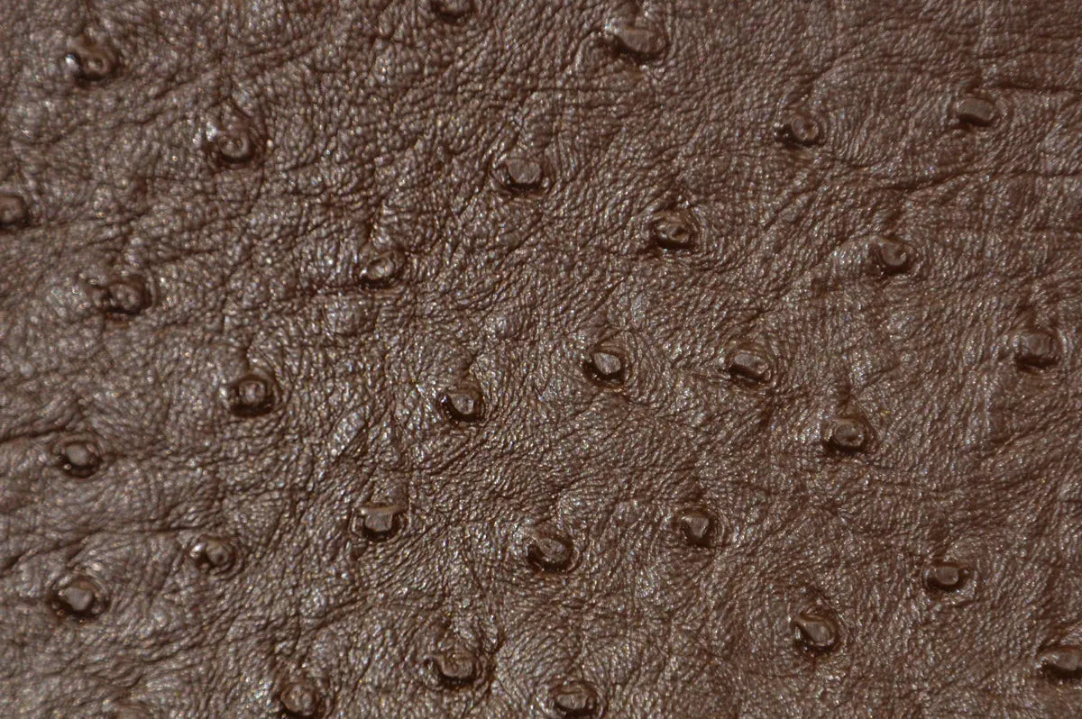 Ostrich Vinyl Brown