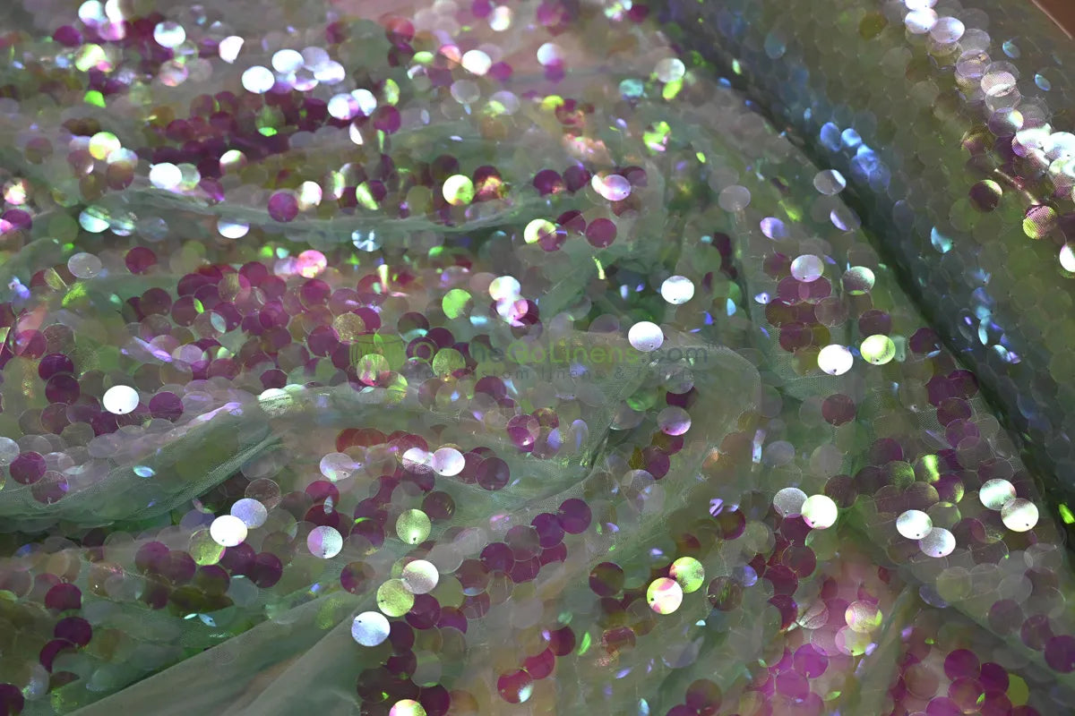 Iridescent Mint Payette