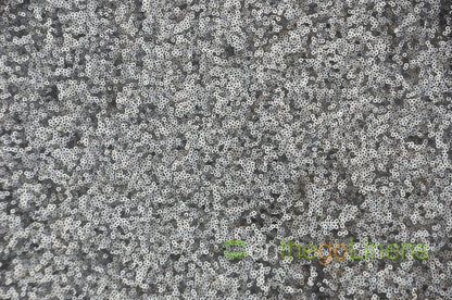 Dull Silver Glitz Mesh Sequins