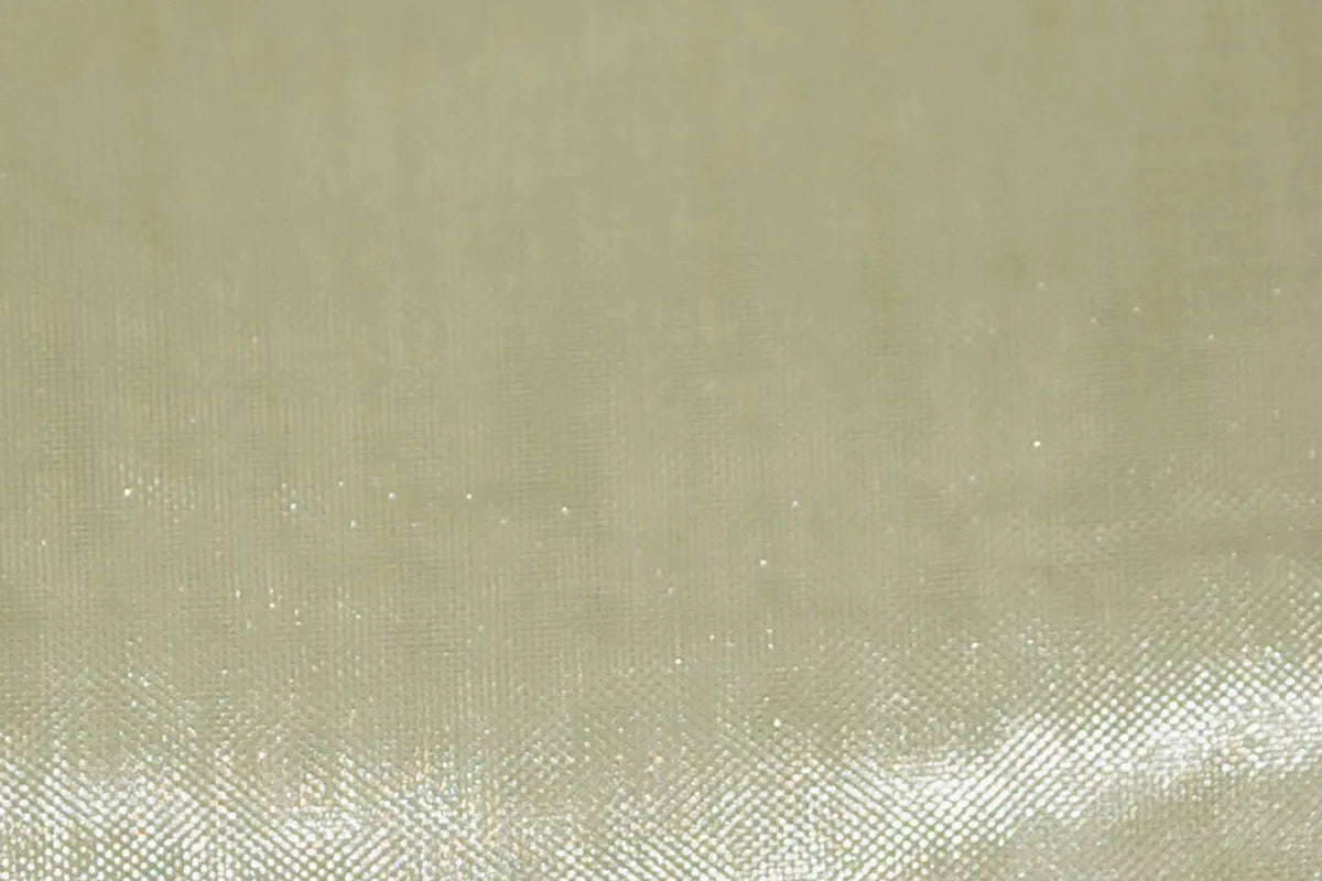 Ivory Mirror Organza