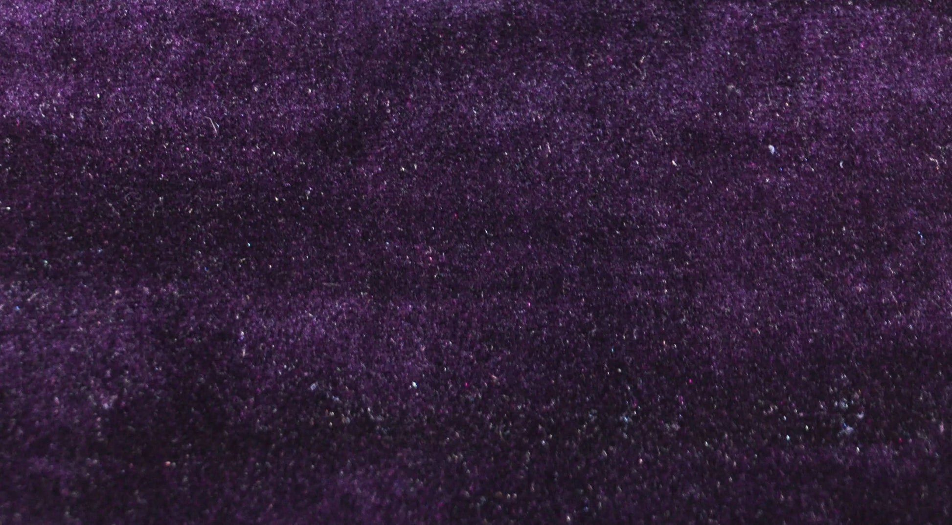 Royal Velvet Purple