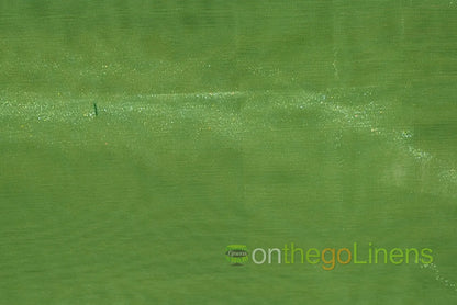 Crystal Organza Lime