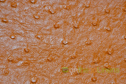 Ostrich Vinyl Fabrics
