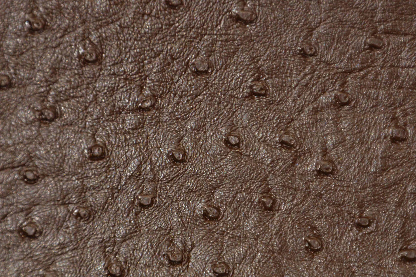Ostrich Vinyl Fabrics