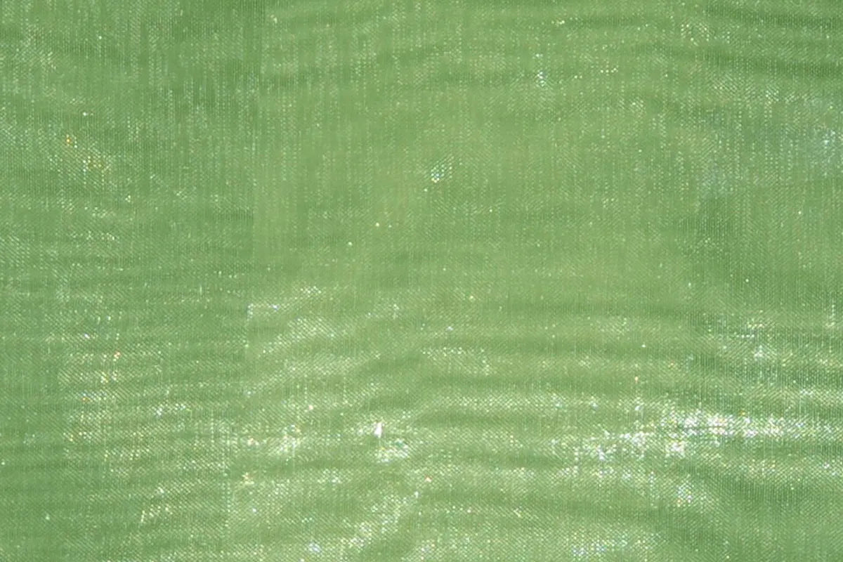 Kiwi Mirror Organza