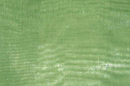 Kiwi Mirror Organza