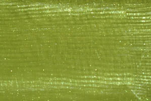 Mirror Organza Fabric by the Yard & Wholesale Bolt | Multiple Colors | 60" Wide | 100% Polyester |