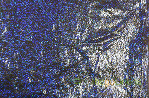 Pebbles Hologram Spandex Fabrics | Dancewear Spandex Fabric | 60" Wide |