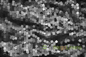 Square Dazzle Sequins Table Linens, Table Overlay, Table Drape & Banquets | Square Payette Sequins Tablecloth |