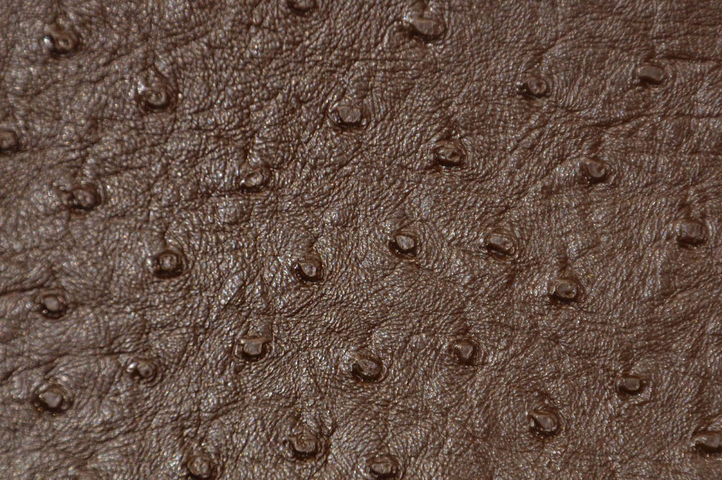 Ostrich Vinyl Fabrics | Imitation Ostrich Leather | Faux Vinyl | 54" Wide |