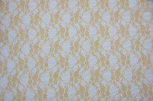 Vintage Stretch Lace Fabric | Giselle Stretch Floral Lace Fabric by the Yard | 58" Wide | Poly Spandex |