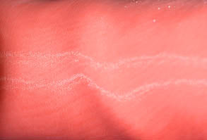 Mirror Organza Fabric by the Yard & Wholesale Bolt | Multiple Colors | 60" Wide | 100% Polyester |
