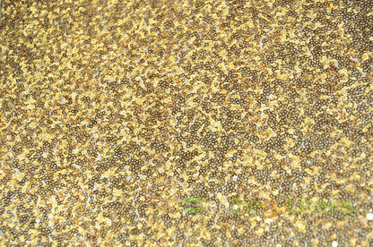 Glitz Mesh Sequins Fabric by the Yard & Bolt | 54" Wide | Multiple Colors |