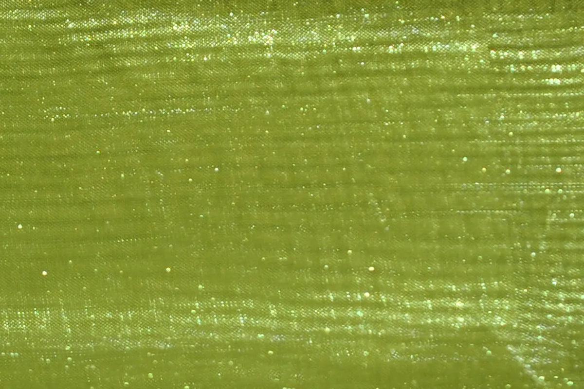 Avocado Mirror Organza