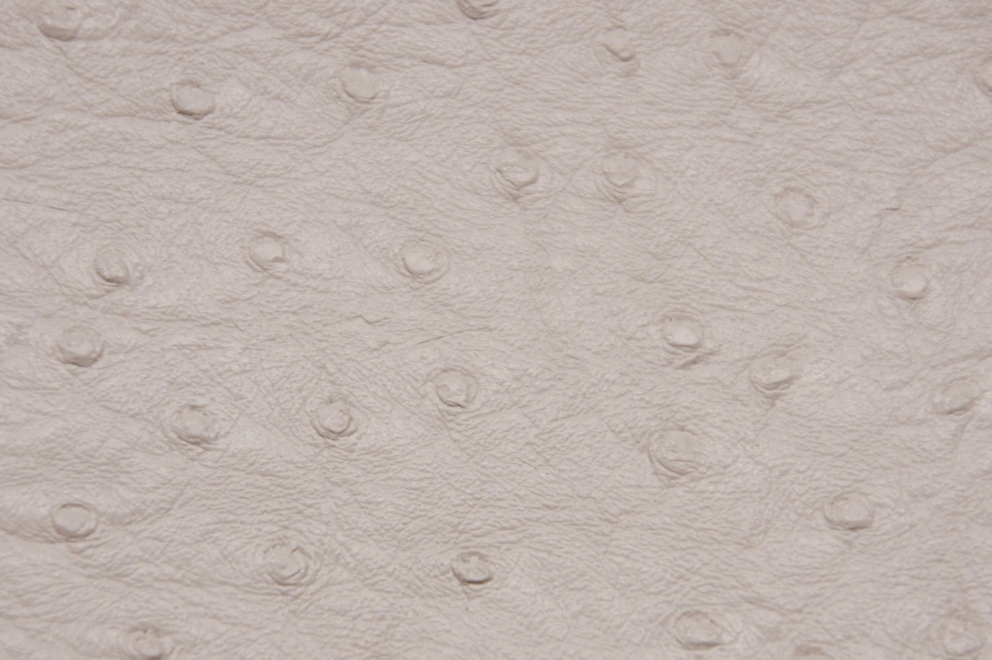 Ostrich Vinyl Ivory