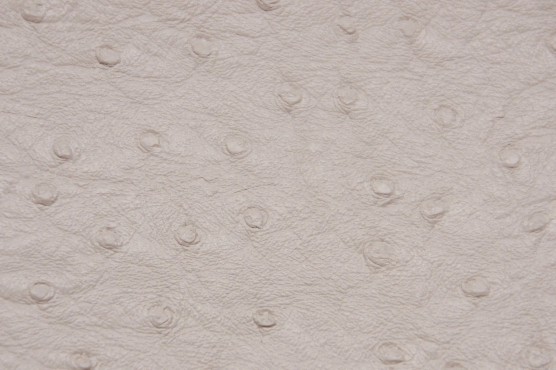 Ostrich Vinyl Ivory