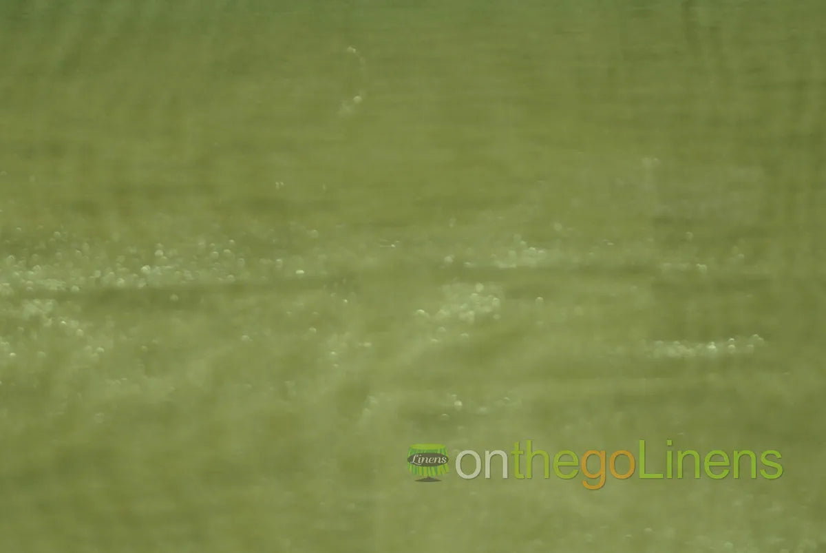 Crystal Organza Dark Lime