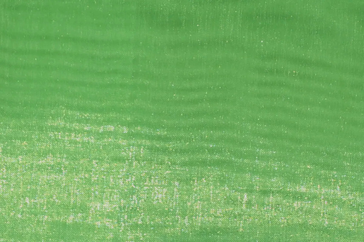 Lime Mirror Organza