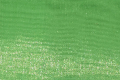 Lime Mirror Organza