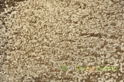 Glitz Mesh Sequins Fabric by the Yard & Bolt | 54" Wide | Multiple Colors |