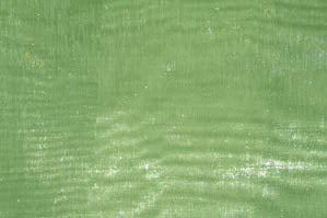 Mirror Organza Fabric by the Yard & Wholesale Bolt | Multiple Colors | 60" Wide | 100% Polyester |