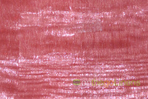 Organza Chair Sashes By Box (50PCS)