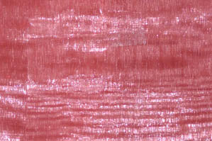 Mirror Organza Fabric by the Yard & Wholesale Bolt | Multiple Colors | 60" Wide | 100% Polyester |