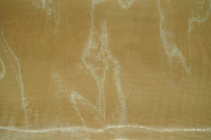 Mirror Organza Fabric by the Yard & Wholesale Bolt | Multiple Colors | 60" Wide | 100% Polyester |