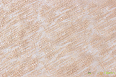 Everleigh Embroidery Fabric | Sequins Lace Fabric by the Yard | 52" wide |