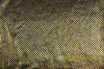 Metallic Snake Hologram Spandex Fabrics | Dancewear Spandex Fabric | 60" Wide |