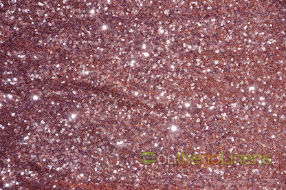 Glitz Mesh Sequins Fabric by the Yard & Bolt | 54" Wide | Multiple Colors |