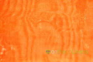 Organza Chair Sashes By Box (50PCS)
