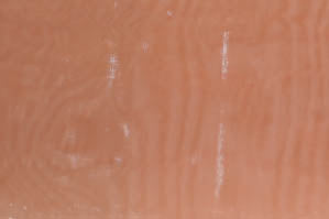 Mirror Organza Fabric by the Yard & Wholesale Bolt | Multiple Colors | 60" Wide | 100% Polyester |