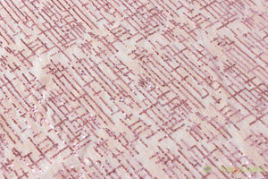 Everleigh Embroidery Table Overlays | Sequins Lace Table Overlay | Multiple Colors |