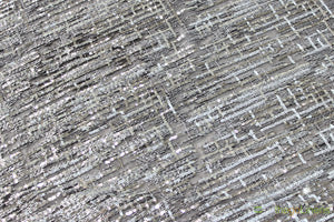 Everleigh Embroidery Table Overlays | Sequins Lace Table Overlay | Multiple Colors |
