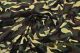 Canvas Army Camouflage Fabric