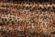 Cheetah Charmeuse Satin Print Pipe and Drape Panels